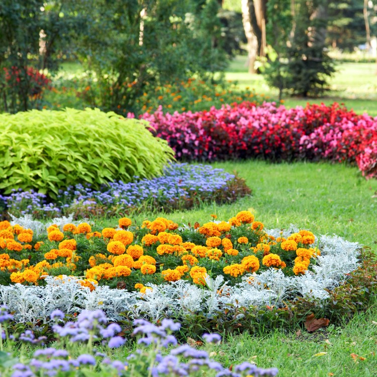 Landscaping services in Cadiz, KY