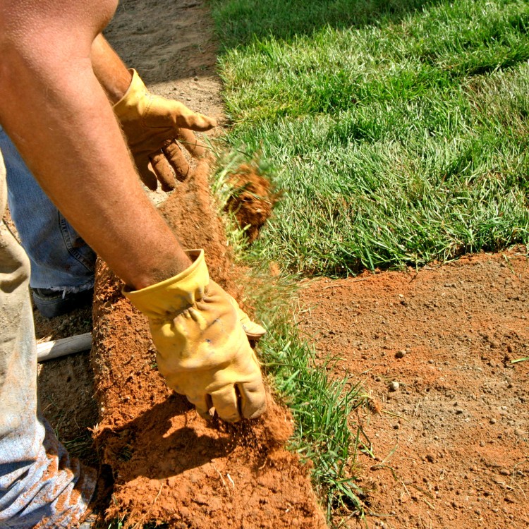 Landscaping services in Cadiz, KY